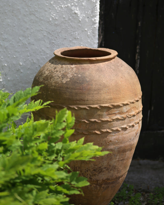 Old Mediterranean Terracotta Olive Pot with classic rib rope detailing