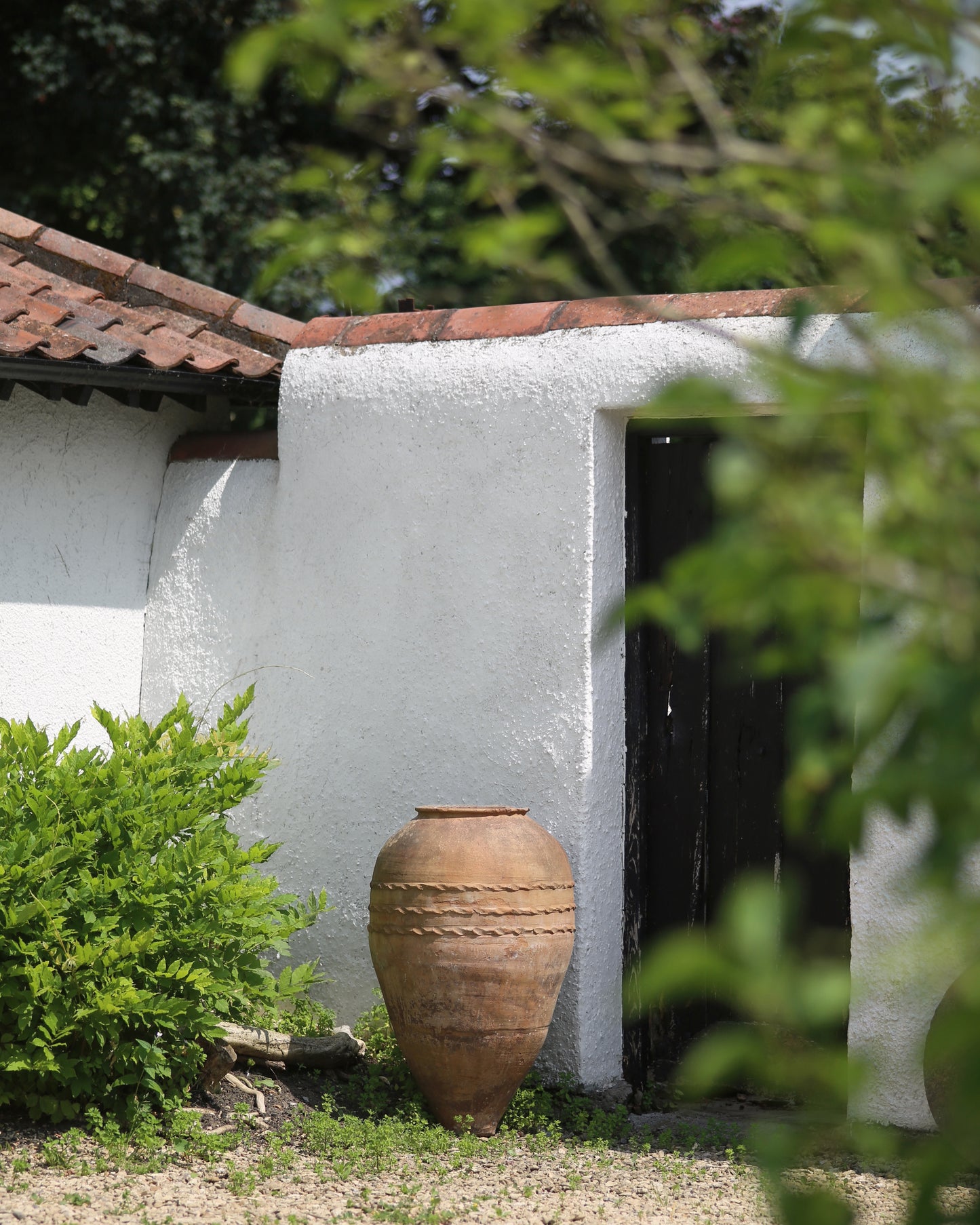 Antique Olive pot in Mediterranean style outdoor setting