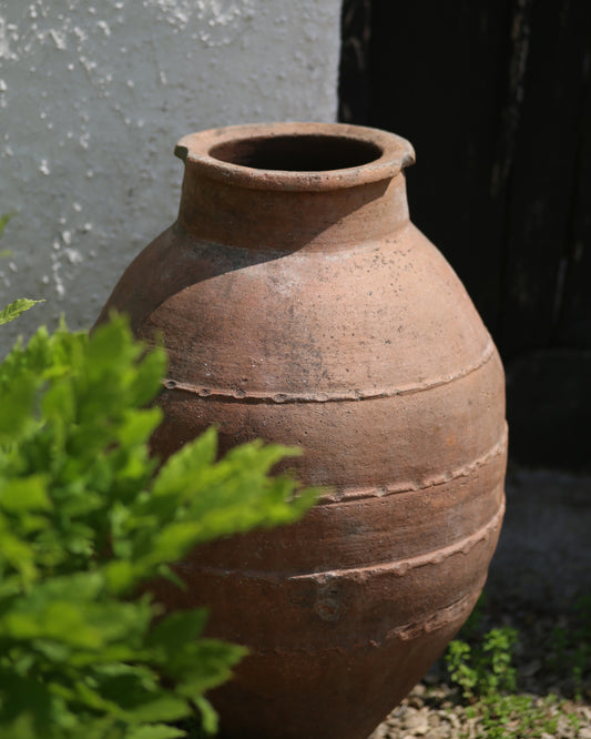 Huge heavy solid terracotta olive pot for the garden