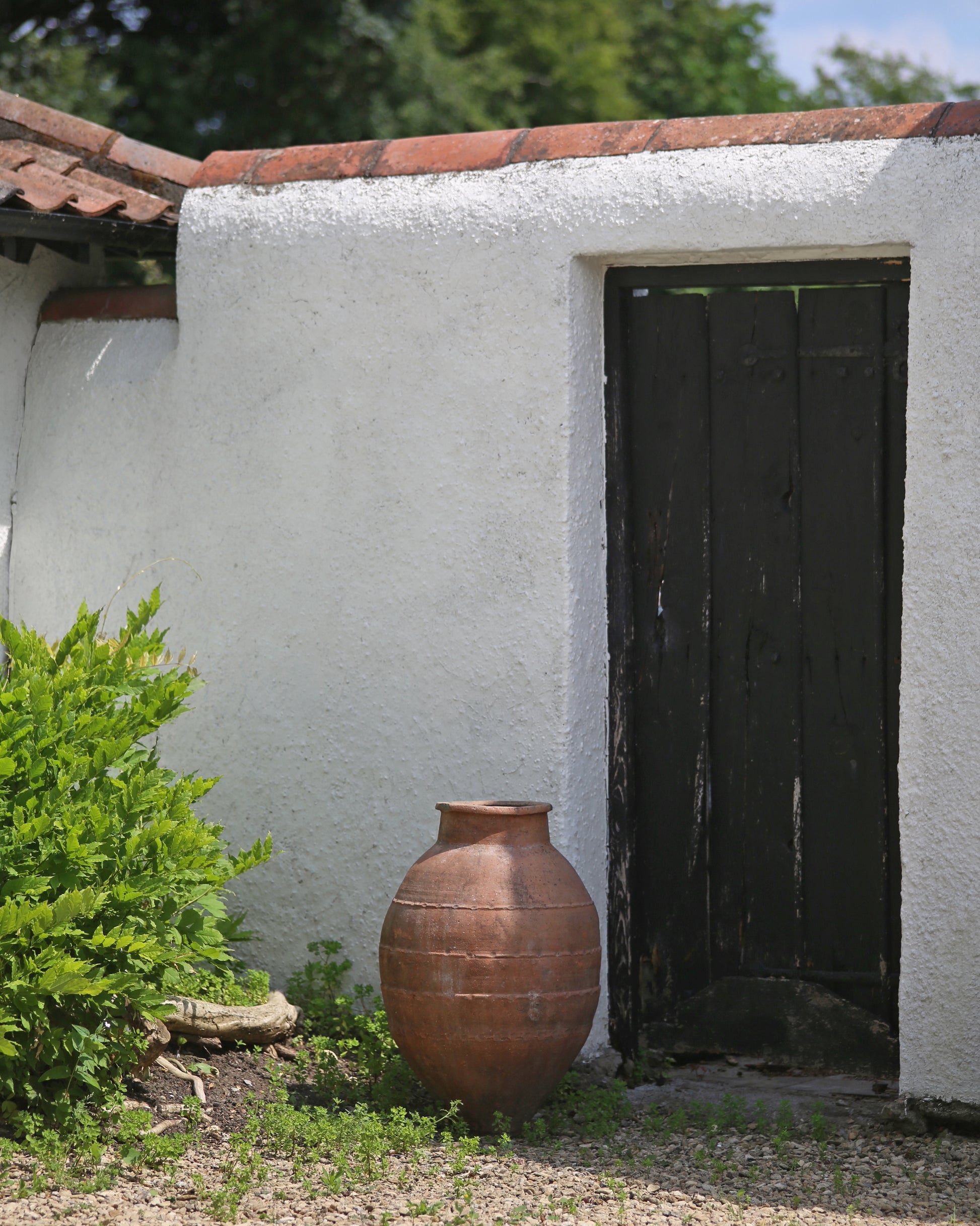 Floor standing olive pot on gravel in walled courtyard 