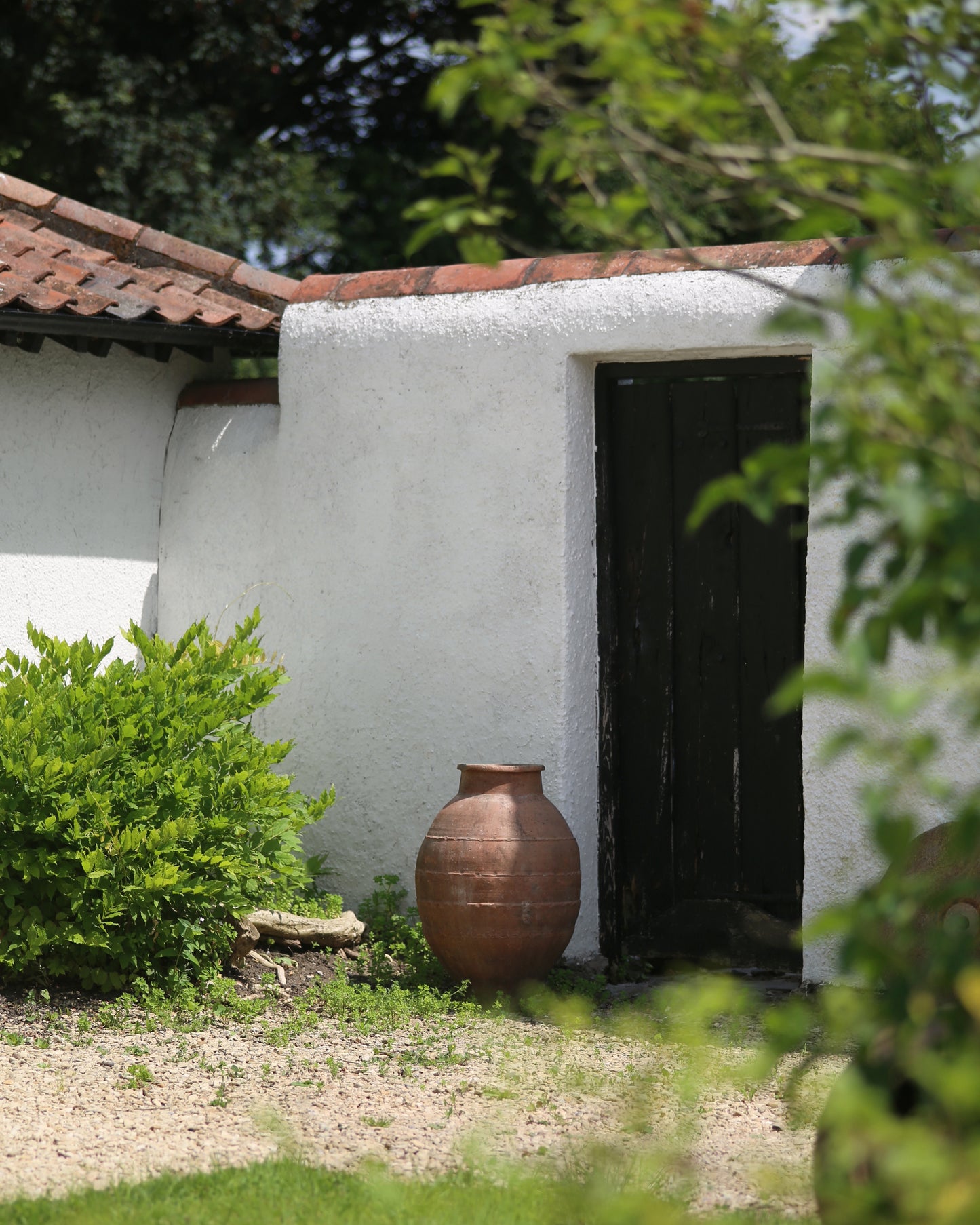 Olive Pot as garden decor of English courtyard garden