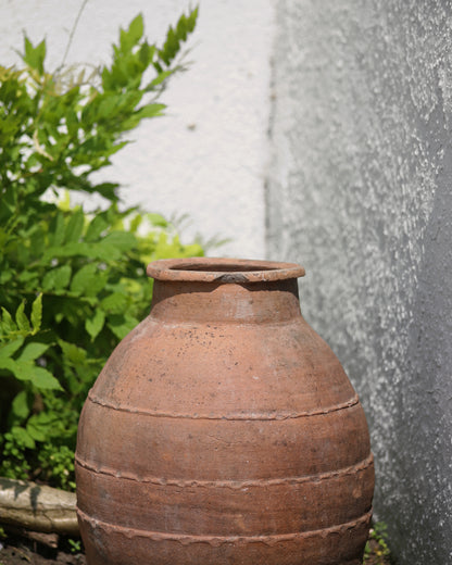 ZAIDA ANTIQUE OLIVE POT