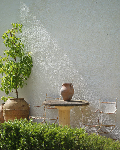 Antique terracotta olive pots planted with olive tree + pottery as table decor