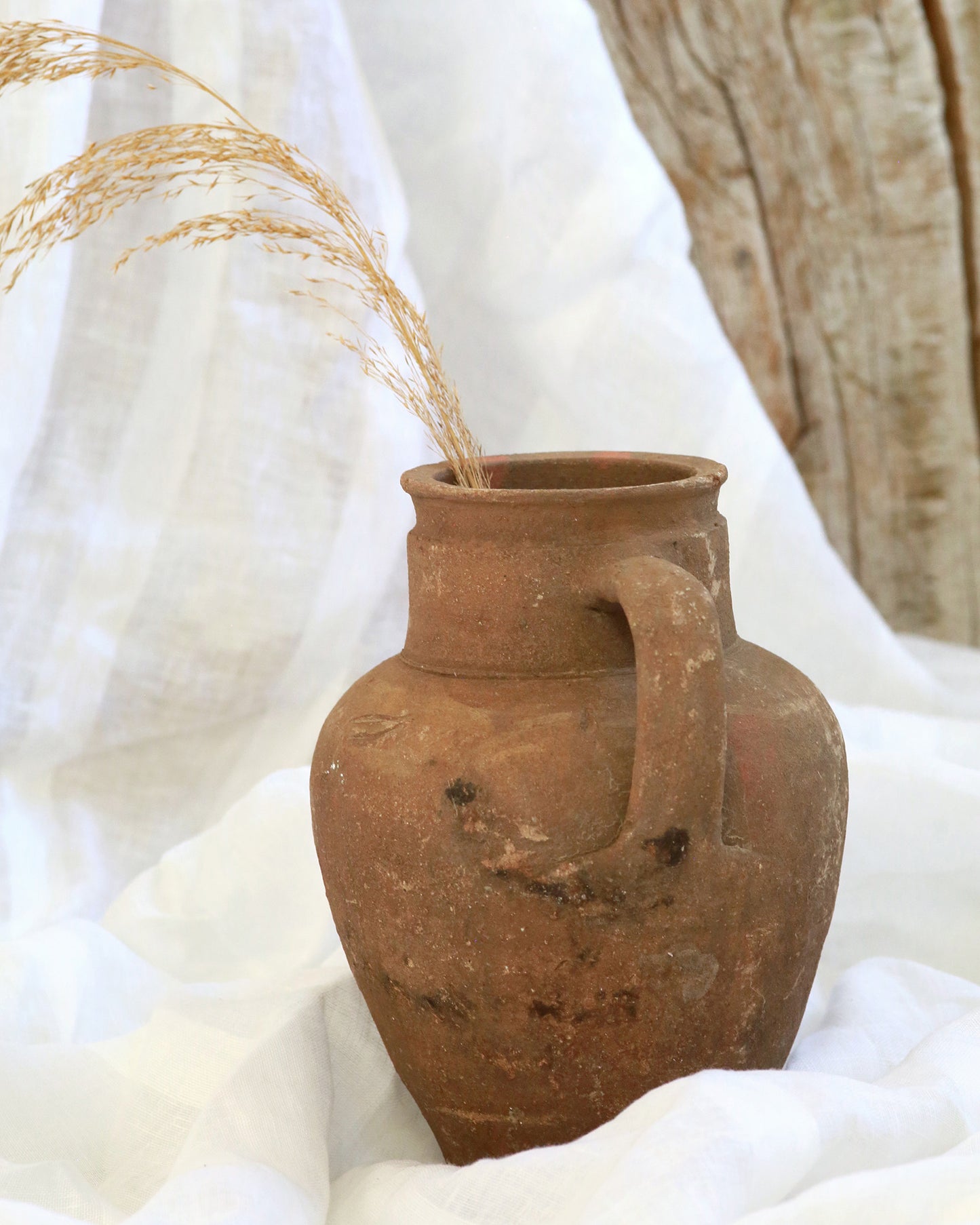 Rustic Mediterranean pitcher pot styled with pampas stem