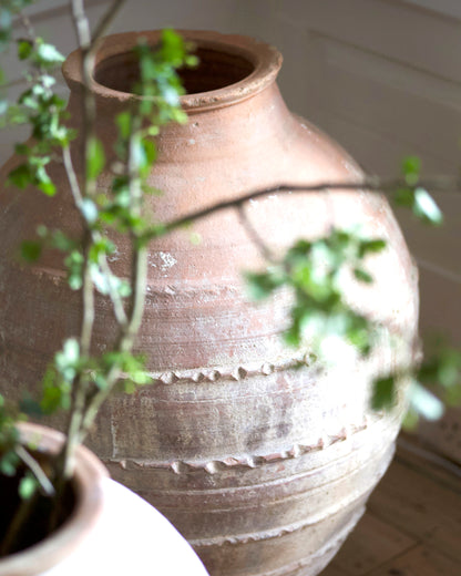 TOPOLI MEDITERRANEAN OLIVE POT