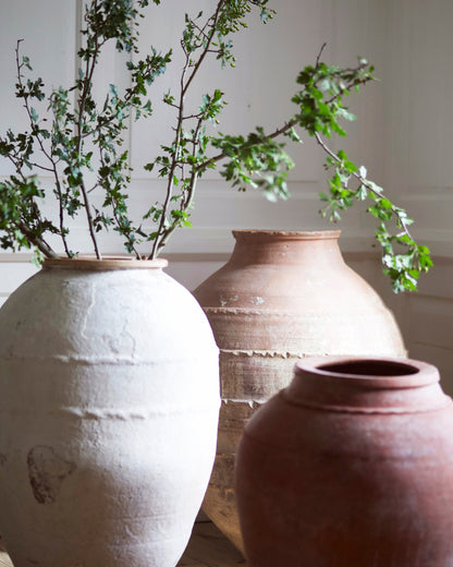 TOPOLI MEDITERRANEAN OLIVE POT