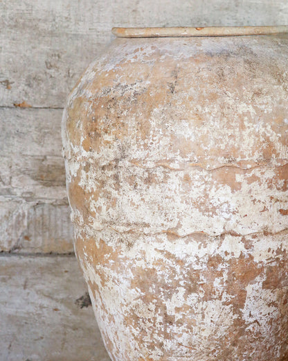 Rustic white paint on terracotta olive pot