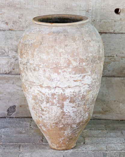 Large floor standing rustic terracotta Mediterranean olive pot